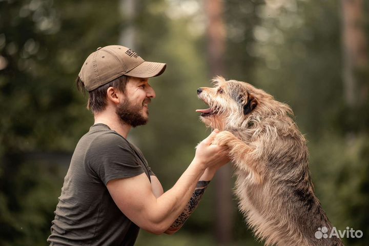 Красавец Боско в добрые руки