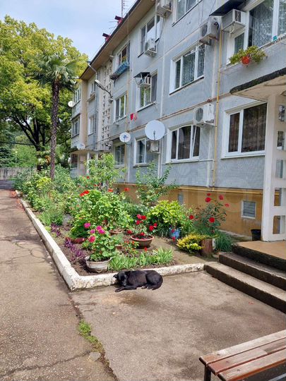 2-к. квартира, 52,2 м², 2/3 эт.