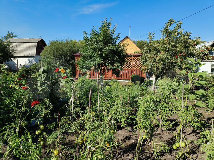 Дача 30 м² на участке 4,1 сот.