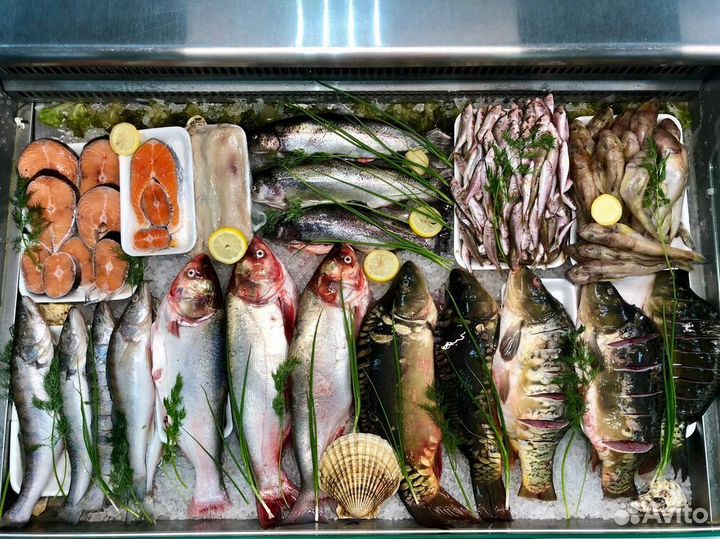 Франшиза свежих морепродуктов в топ-локации