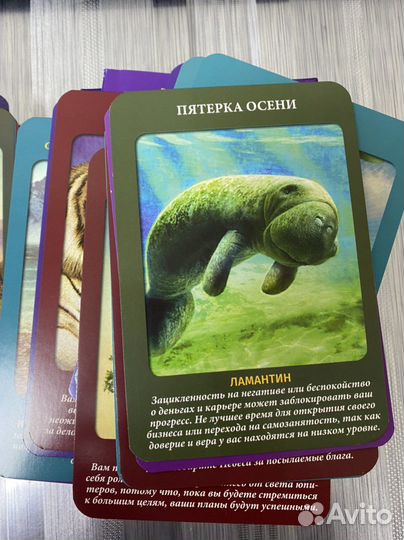 Таро животных