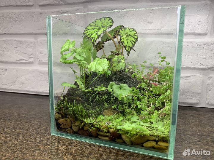 Флорариум
