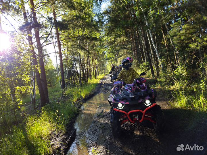 Прокат квадроциклов по маршрутам в лесу MkForrest