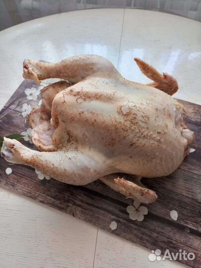 Мясо домашнего бройлера