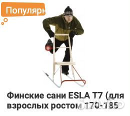 Сани из Европы в наличии