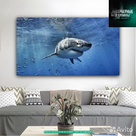 Картины с акулами, морская тематика