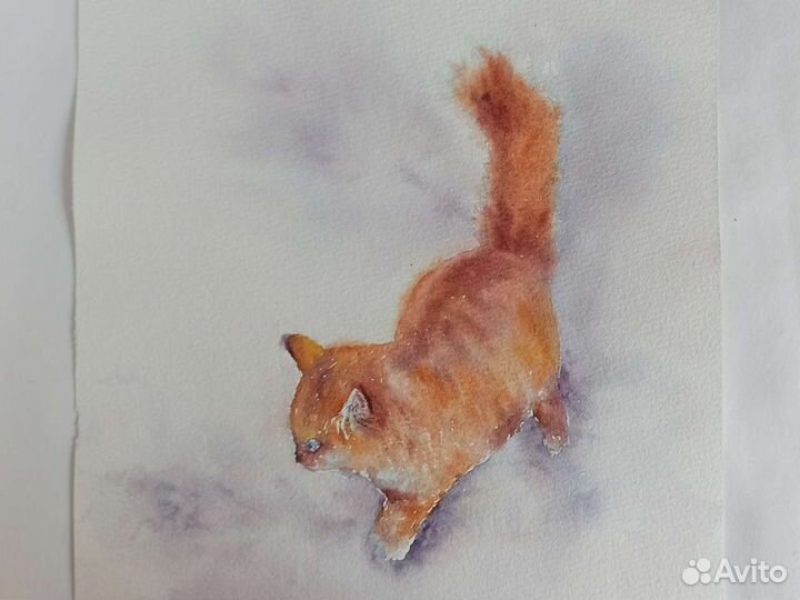 Рыжий кот. Картина акварелью