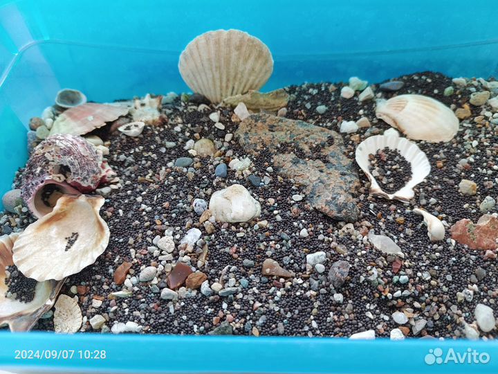 Грунт для аквариума