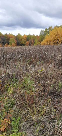 Участок 15 сот. (ИЖС)