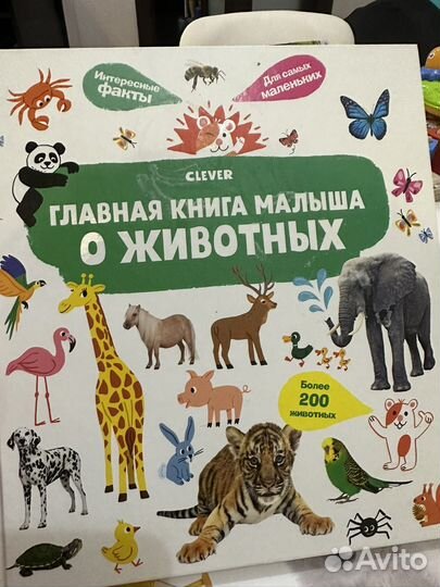 Классные книжки для малышей