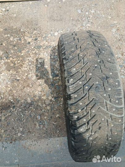 Nokian Tyres Hakkapeliitta 8 195/65 R15