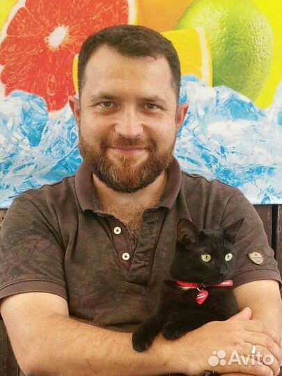 Проверка дома перед покупкой