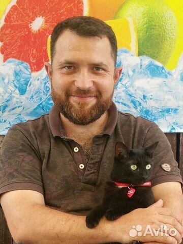 Проверка дома перед покупкой