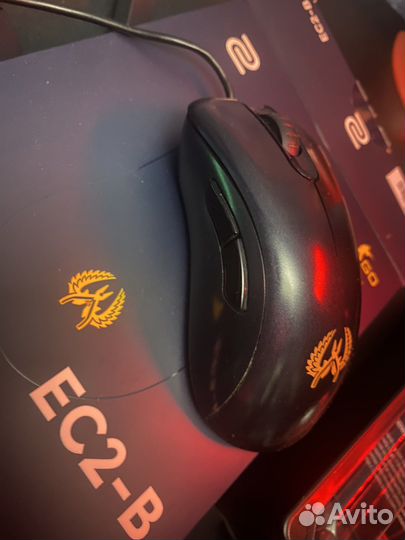 Zowie ec-2 b CS:GO Version