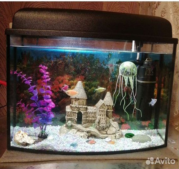 Аквариум