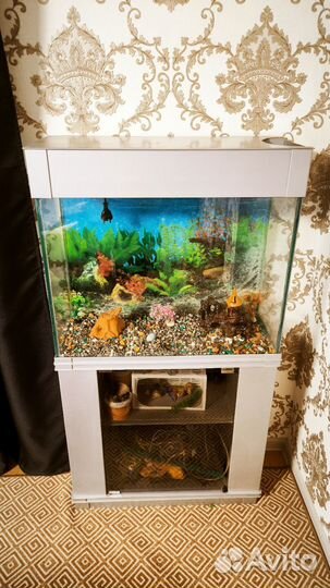 Аквариум с тумбой 100л