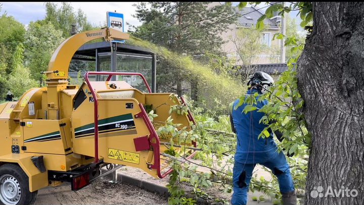 Измельчитель веток аренда