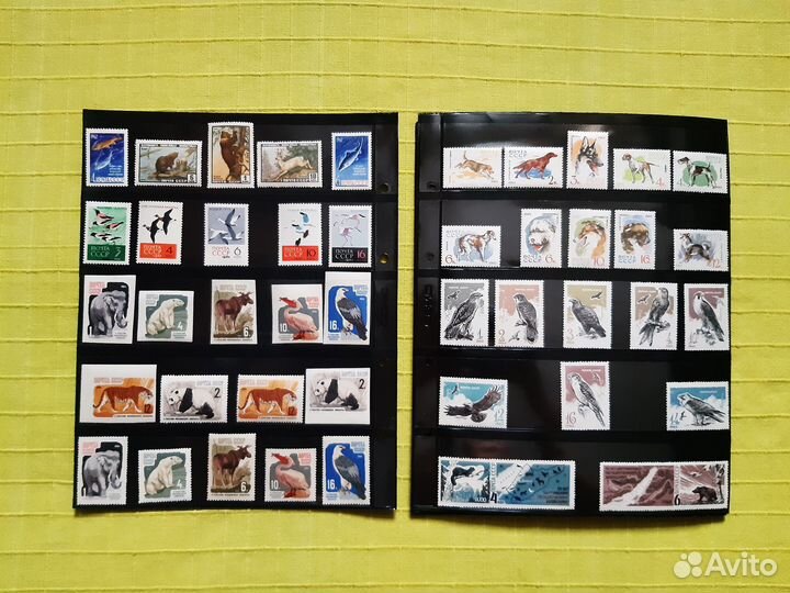 Почтовые марки СССР Фауна