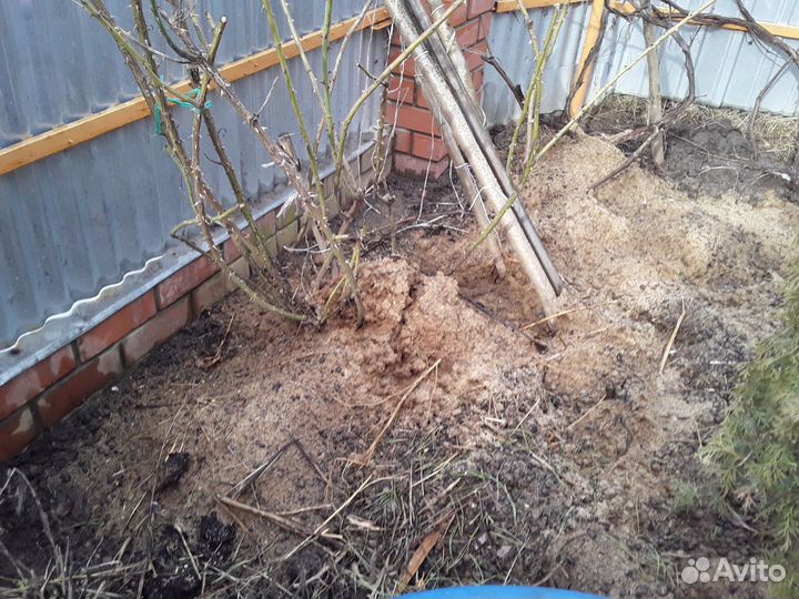 Навоз конский,коровий,козий,курьяк