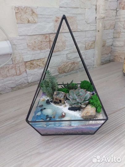 Флорариум с суккулентами