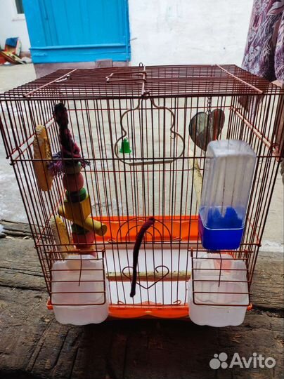 Клетка для попугая