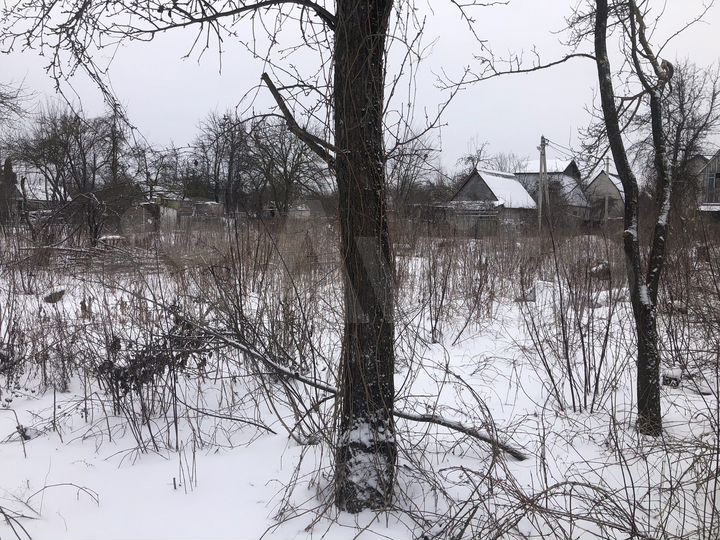 Участок 4,6 сот. (СНТ, ДНП)