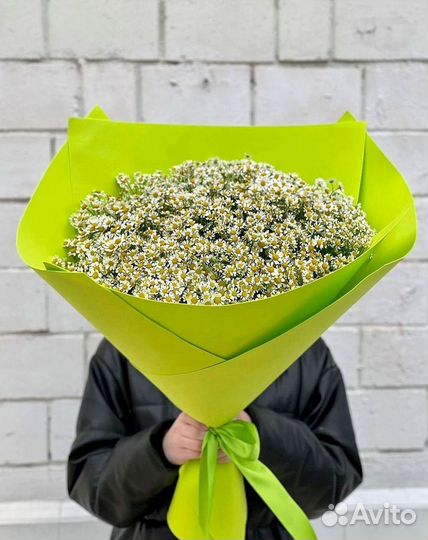 Цветы ромашки. Букеты ромашек. Цветы доставка