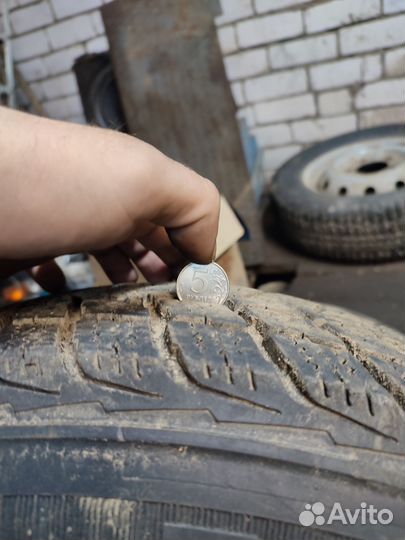 Nexen Winguard Ice SUV 215/70 R16