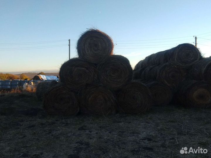 Сено в тюках