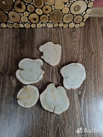 Набор спилов можжевельника для декора и творчества