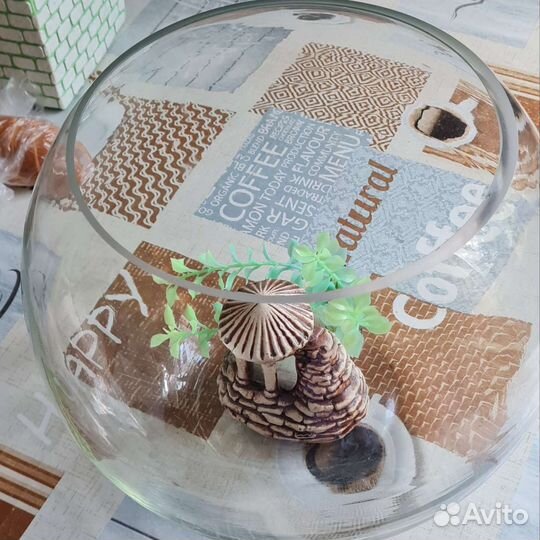 Аквариум круглый