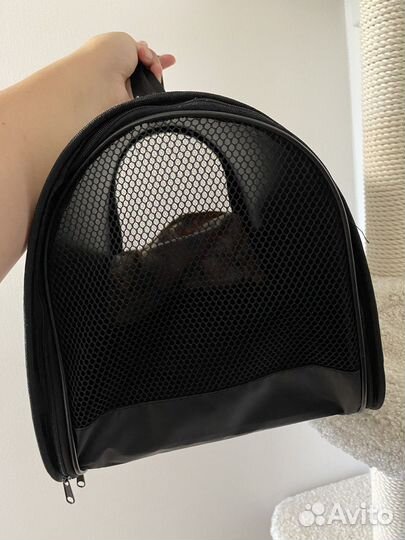 Переноска для животных