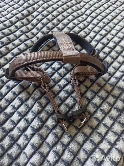 Шлейка для средней собаки