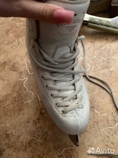 Коньки risport excellence