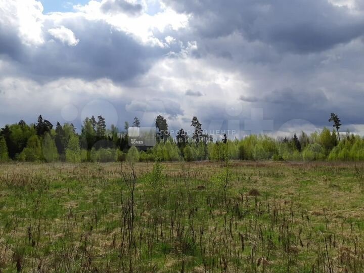 Участок 35 сот. (СНТ, ДНП)