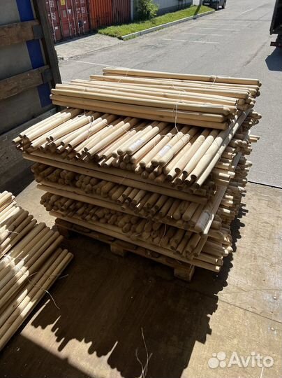 Черенки из березы / Крупный опт / Тольятти