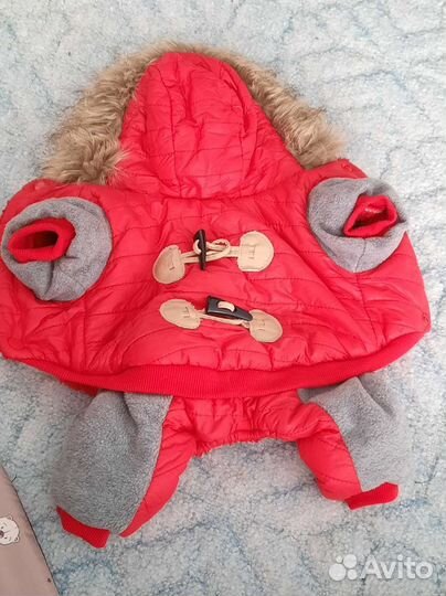 Комбинезон для собаки m