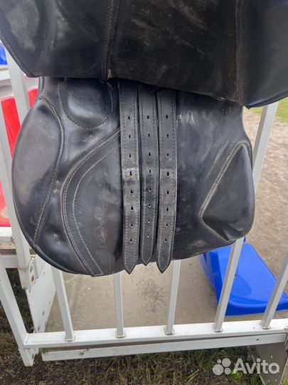 Седло и подпруга