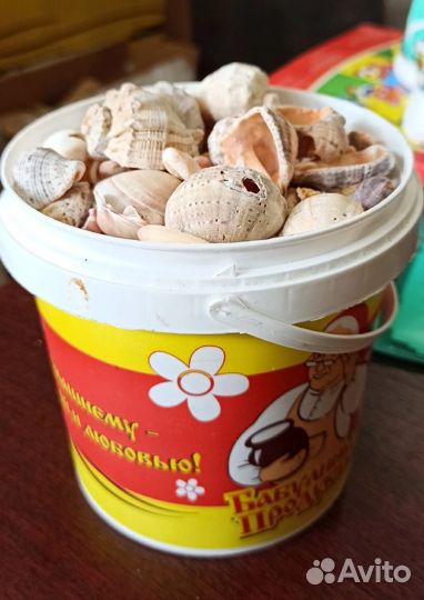 Ракушки С черноморского побережья 1 литр
