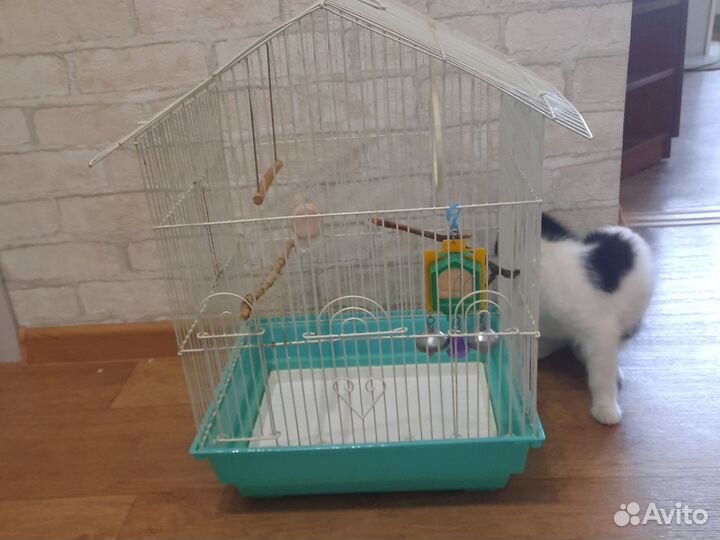 Клетка для попугая бу