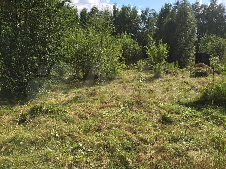 Участок 7 сот. (СНТ, ДНП)