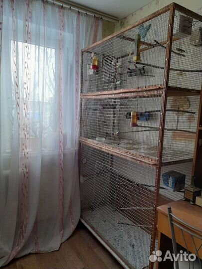 Клетка вольер