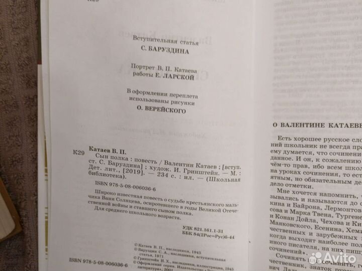 Валентин Катаев. Сын Полка