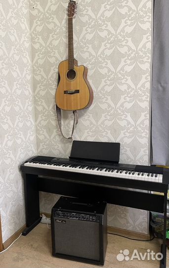 Комбоусилитель Phil Pro AE-30