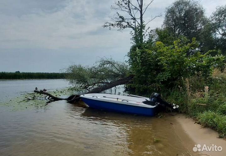 Лодка Кайман 350 с мотором Гладиатор