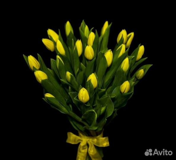 Букет из тюльпанов 25шт