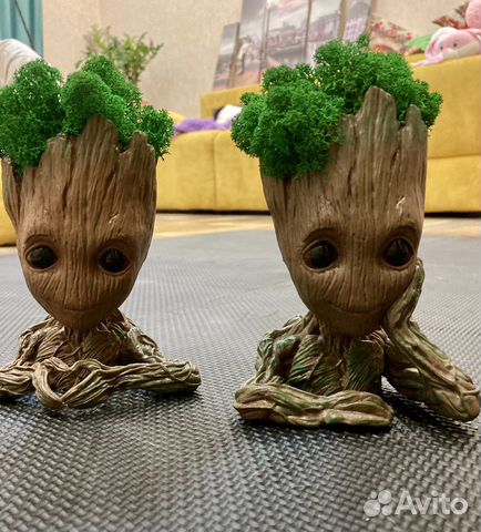 Грут со стабилизированным мхом