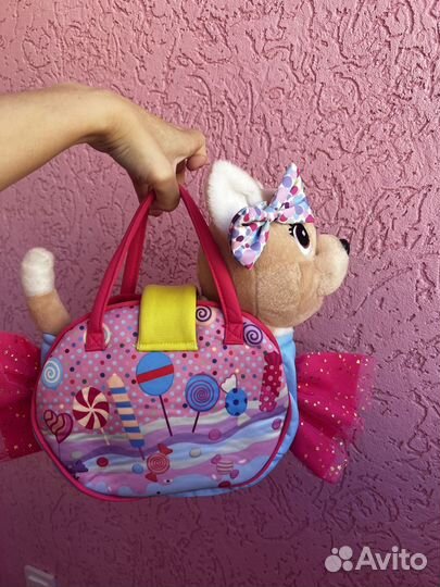 Собака чичи лав