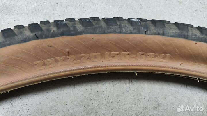 Покрышки велосипедные chaoyang phantom dry arisun