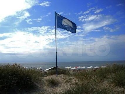 Участок 1,5 га (ИЖС)